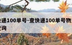 查快递100单号-查快递100单号物流信息查询