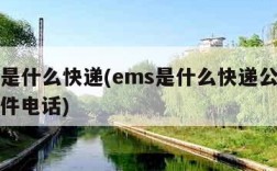 ems是什么快递(ems是什么快递公司上门取件电话)