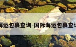 国际海运包裹查询-国际海运包裹查询网站