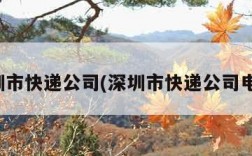 深圳市快递公司(深圳市快递公司电话)