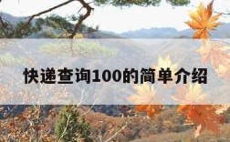 快递查询100的简单介绍