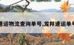 龙邦速运物流查询单号,龙邦速运单号官网