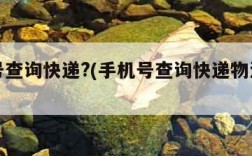 手机号查询快递?(手机号查询快递物流信息入口)