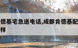 成都肯德基宅急送电话,成都肯德基配送员待遇怎么样