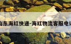 山东海红快递-海红物流客服电话