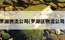 罗湖物流公司(罗湖区物流公司)