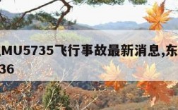 东航MU5735飞行事故最新消息,东航mu5736