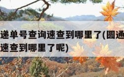 圆通快递单号查询速查到哪里了(圆通快递单号查询速查到哪里了呢)