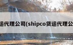 货运代理公司(shipco货运代理公司)