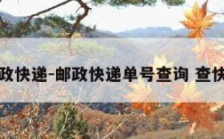 邮政快递-邮政快递单号查询 查快递