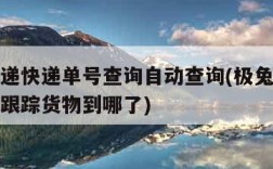 极兔速递快递单号查询自动查询(极兔快递单号查询跟踪货物到哪了)