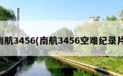 南航3456(南航3456空难纪录片)