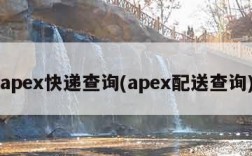 apex快递查询(apex配送查询)