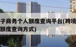 跨境电子商务个人额度查询平台(跨境电商年度个人额度查询方式)