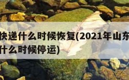 青岛快递什么时候恢复(2021年山东青岛快递什么时候停运)