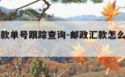 邮政汇款单号跟踪查询-邮政汇款怎么查询到了没