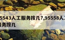 95543人工服务按几?,95558人工服务按几