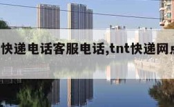 tnt快递电话客服电话,tnt快递网点查询