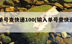 输入单号查快递100(输入单号查快递单号查)