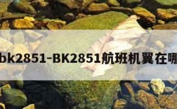 bk2851-BK2851航班机翼在哪