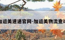 加运美速递官网-加运美物流查询