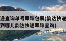 韵达快递查询单号跟踪包裹(韵达快递单号查询货物到哪儿韵达快递跟踪查询)