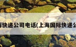 上海快递公司电话(上海国际快递公司)