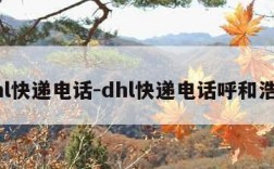 dhl快递电话-dhl快递电话呼和浩特