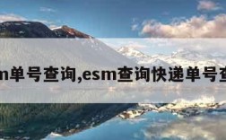 esm单号查询,esm查询快递单号查询