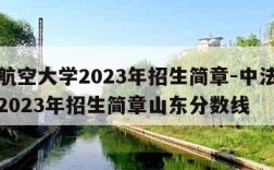 中法航空大学2023年招生简章-中法航空大学2023年招生简章山东分数线