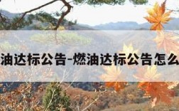 燃油达标公告-燃油达标公告怎么写